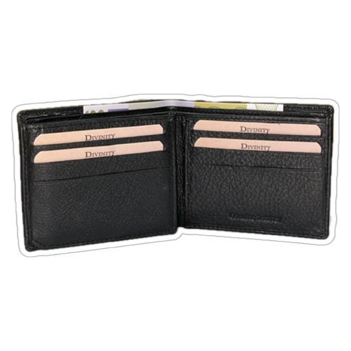 CARTERA HOMBRE PIEL 8806
