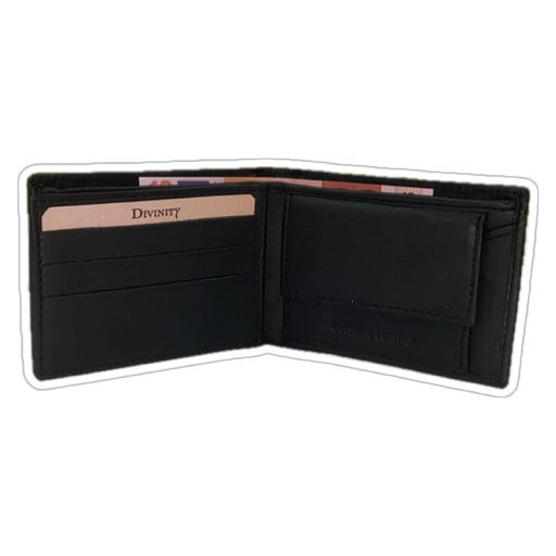 CARTERA HOMBRE PIEL 8802