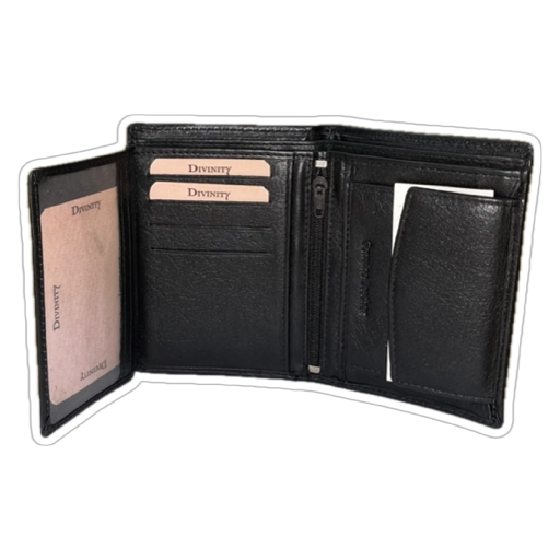 CARTERA HOMBRE PIEL 8805
