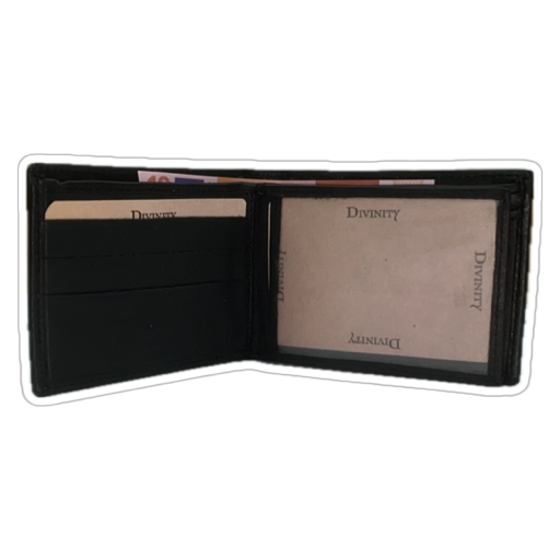 CARTERA HOMBRE PIEL 8802