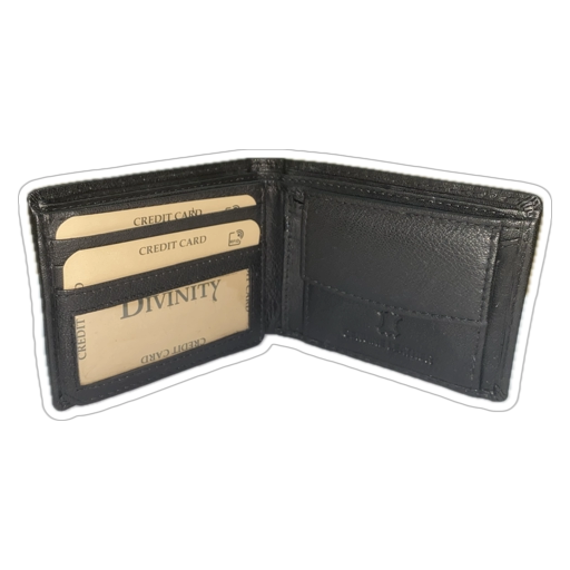 CARTERA HOMBRE PIEL 201810