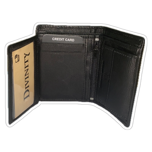 CARTERA HOMBRE PIEL 209170